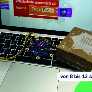 Calliope mini - Herausforderungen und Challenges programmieren