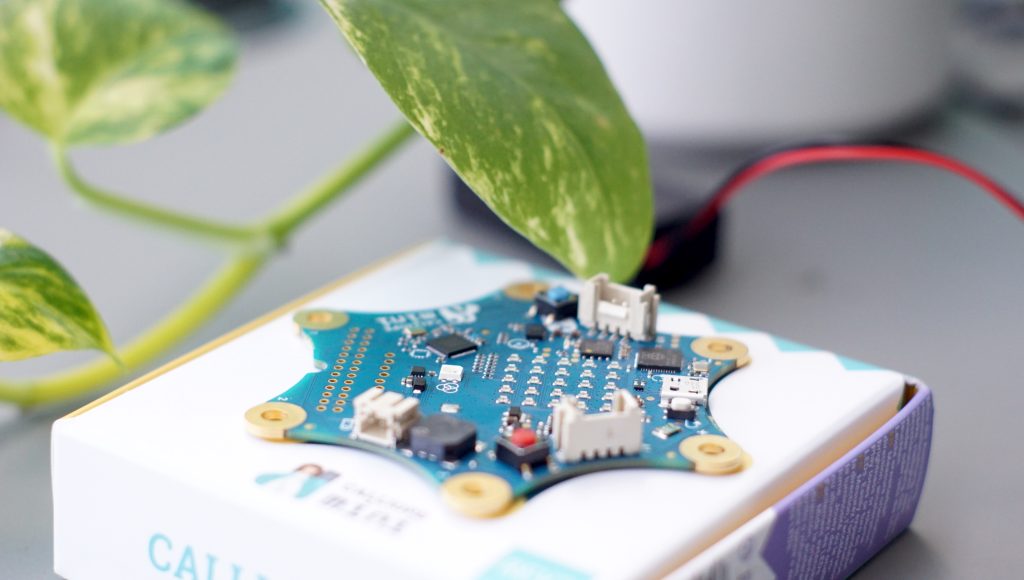 Tüfteln und Programmieren mit Calliope mini - DropIn