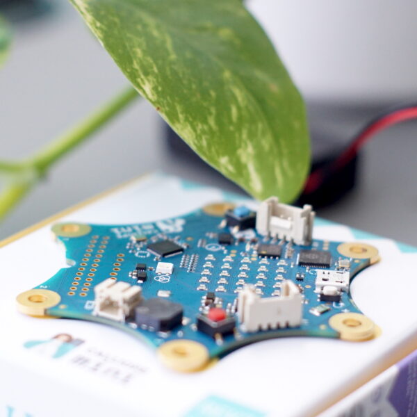 Tüfteln Und Programmieren Mit Calliope Mini