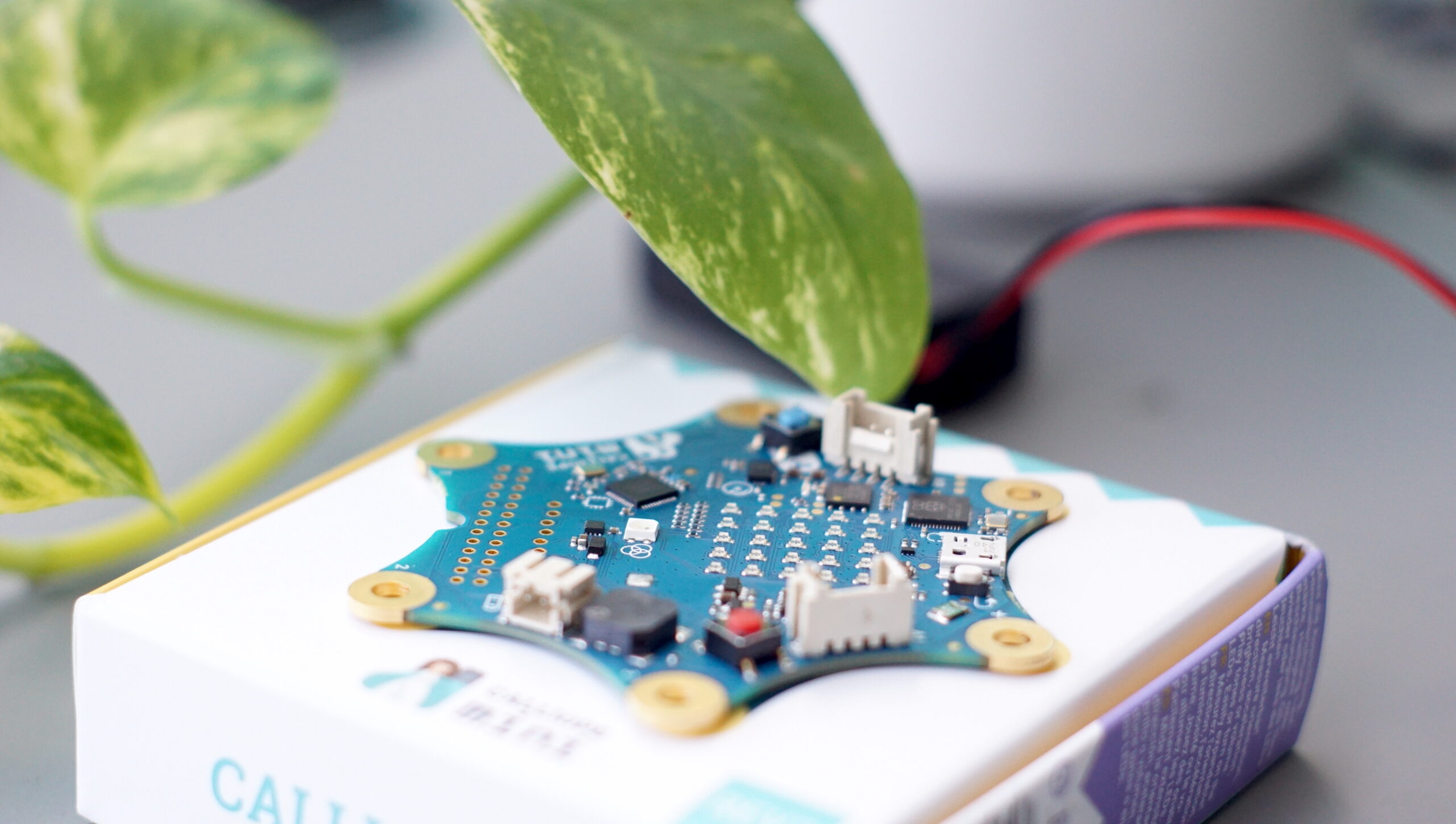 Image for Tüfteln und Programmieren mit Calliope mini