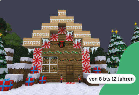 Minetest_Wintetwelt