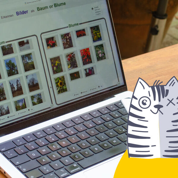 Tueftellab Kurskachel Grundlagen Achinelearningforkids