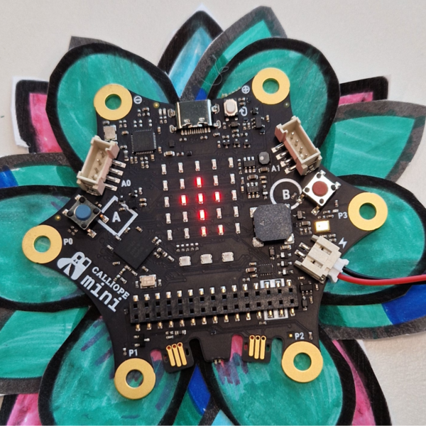 Code Deine Pflanze Mit Calliope Mini