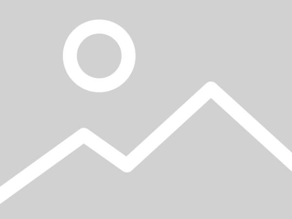 Platzhalterbild 17