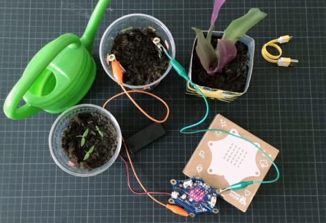 Tueftellab Calliopemini Tutorial Froehlichepflanzen Projektbild 1