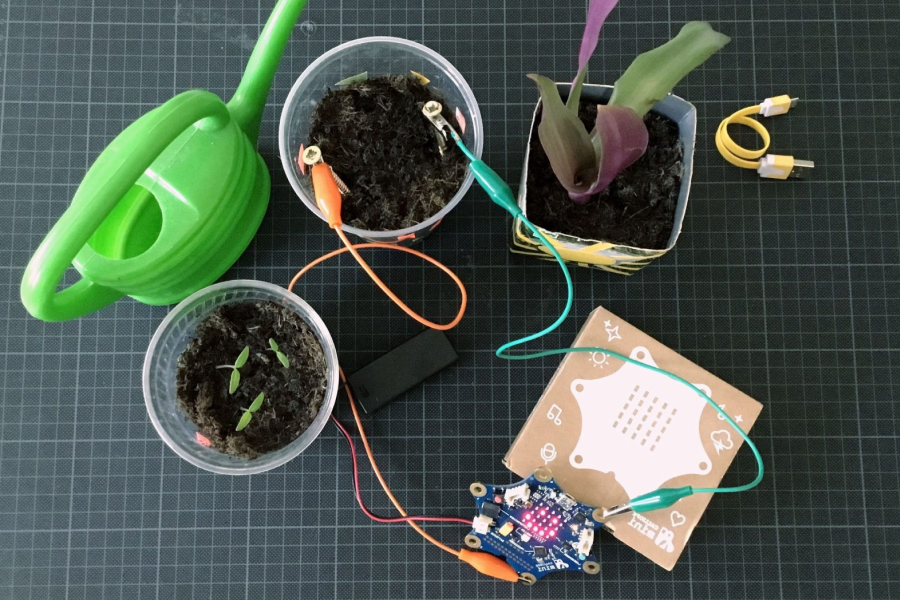 Naturwissenschaftliche kompetenzen mit calliope mini entwickeln. 16 Tueftellab Calliopemini Tutorial Froehlichepflanzen Projektbild 1